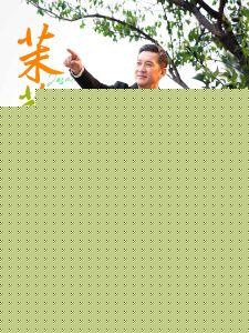 茉莉花开正当时