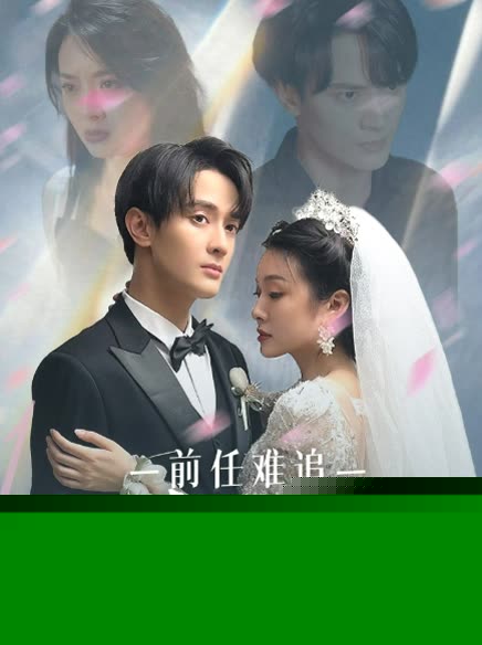 前任难追：傅少请自重