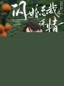 闪婚总裁太深情