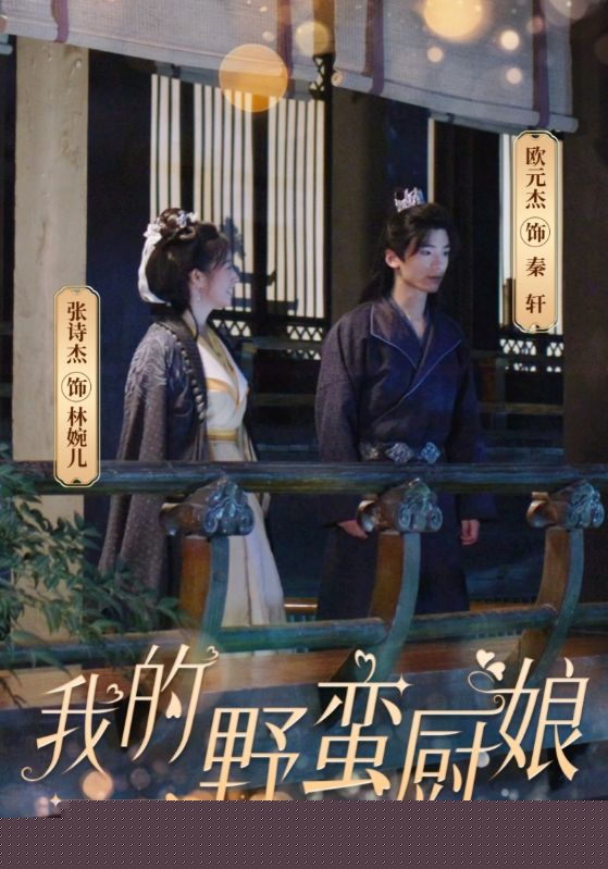 我的野蛮厨娘