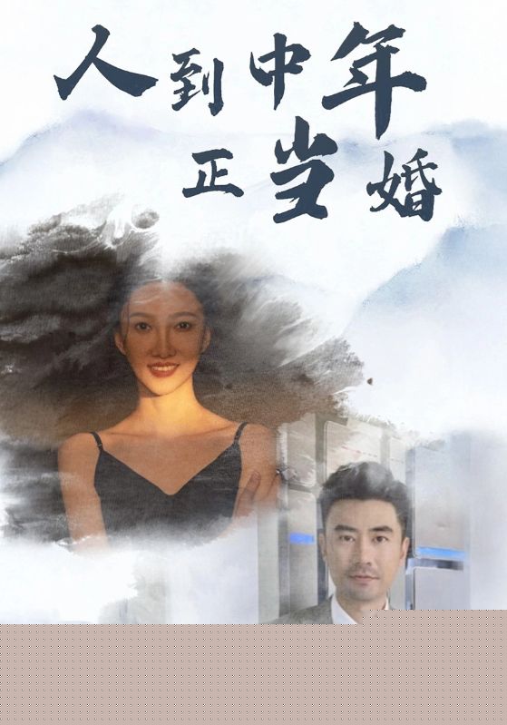 人到中年正当婚