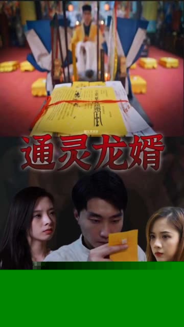 通灵龙婿