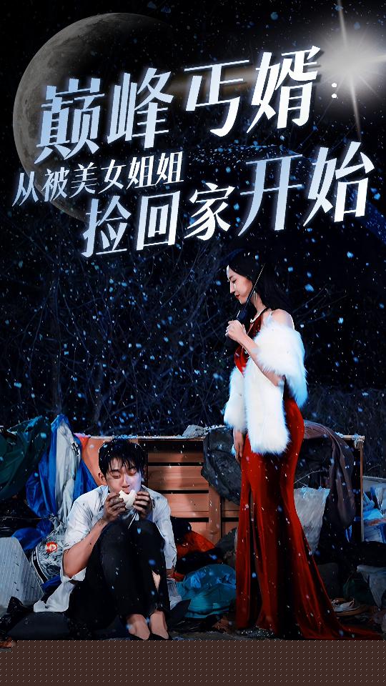 巅峰丐婿：从被美女姐姐捡回家开始