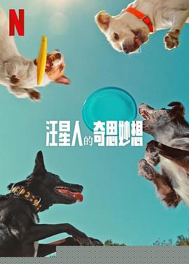 汪星人的奇思妙想