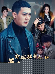 金蛇狂舞之天下无贼