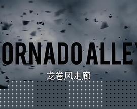龙卷风走廊第二季