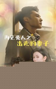 再见爱人之出走的妻子