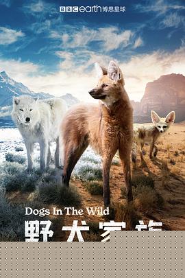 野犬家族