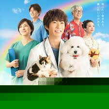 我与尾巴与神乐坂