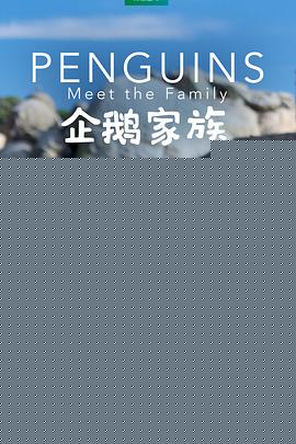 企鹅家族