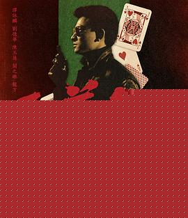 至尊无上【影视解说】