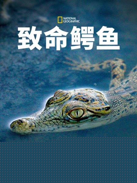 致命鳄鱼