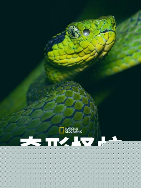 奇形怪蛇