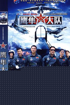鹰隼大队