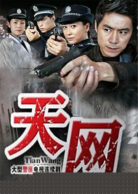 天网2011
