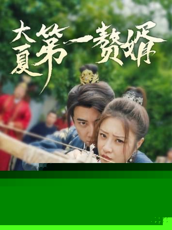 大夏第一赘婿
