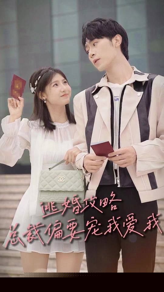 逃婚攻略总裁偏要宠我爱我