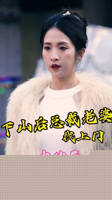 下山后总裁老婆找上门