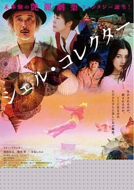 贝壳收藏家