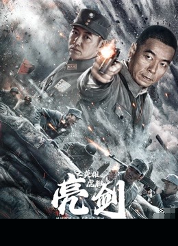 亮剑之英雄虎胆