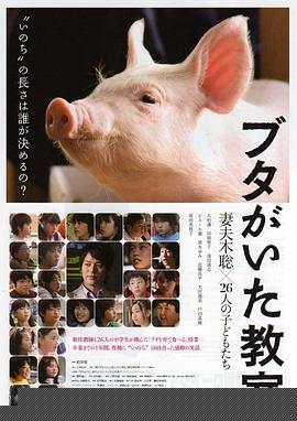 小猪教室