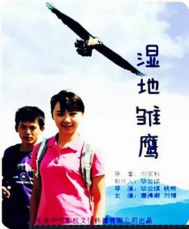 湿地雏鹰