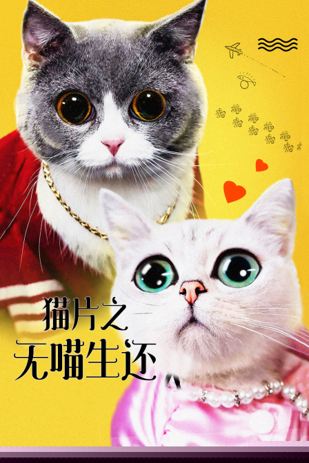 猫片之无喵生还