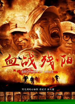 血战残阳
