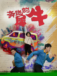 奔跑的犀牛